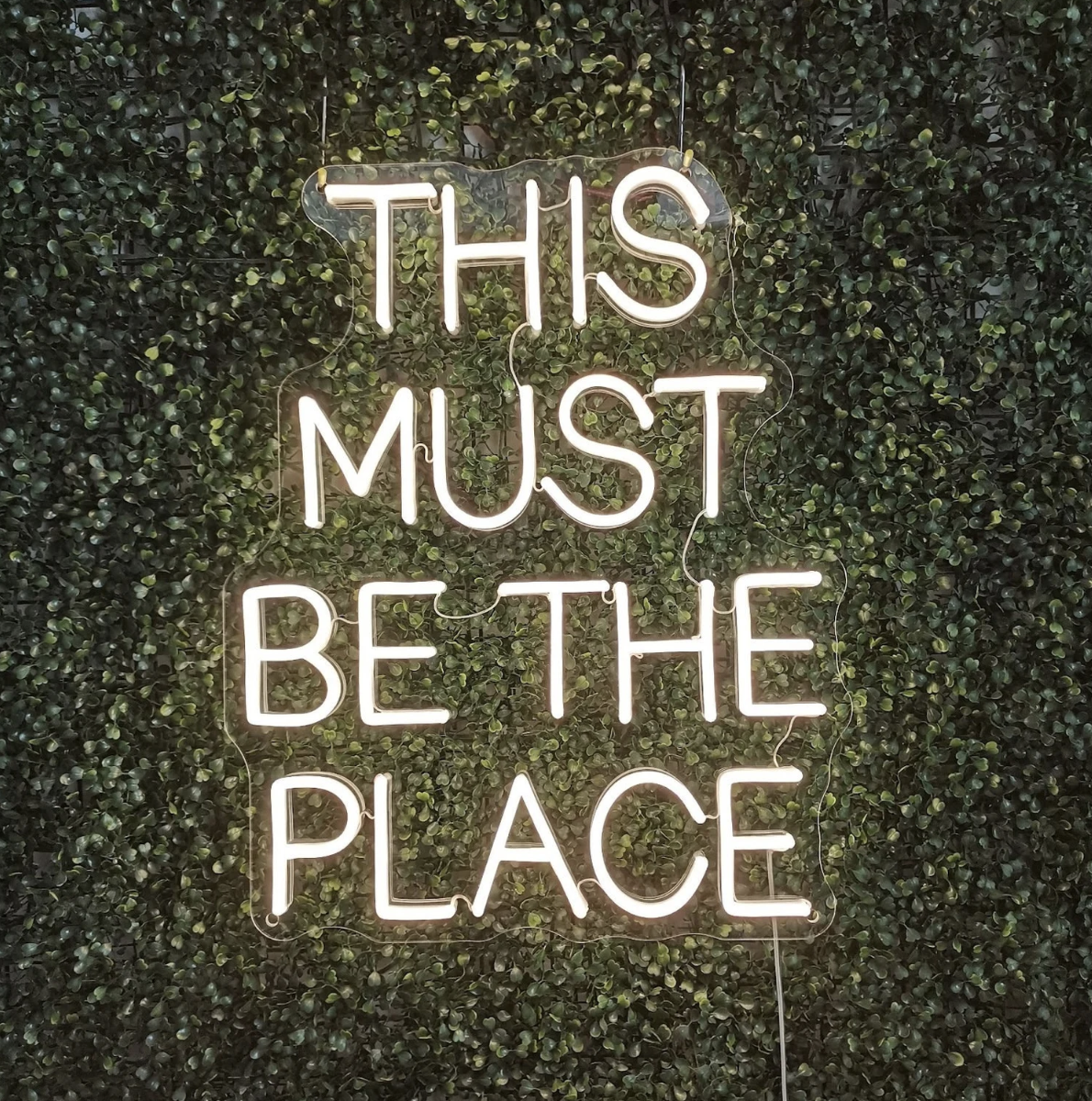 This Must Be The Place — LED Neon Sign