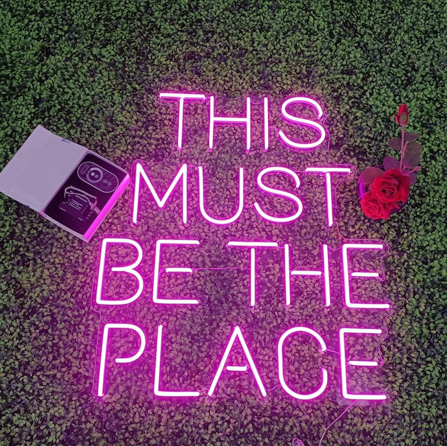 This Must Be The Place — LED Neon Sign
