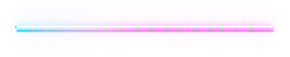 NEONTOLOGY