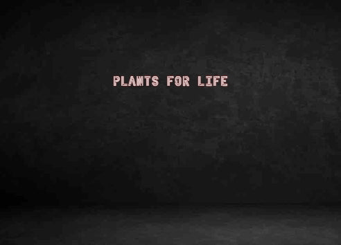 Custom Neon Sign: PLANTS FOR LIFE