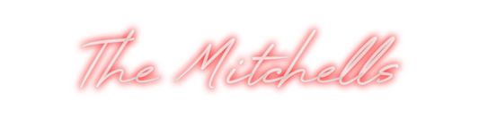 Custom Neon: The Mitchells